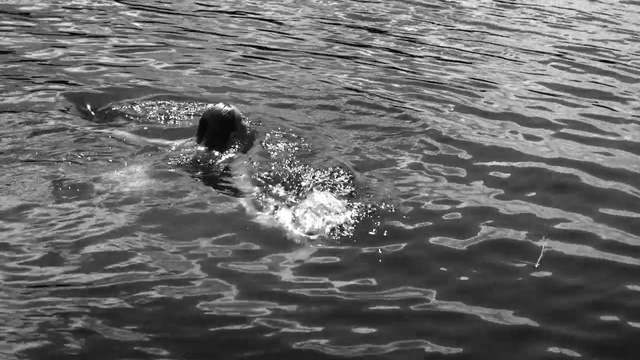 Video Reference: Water, Sporting Group, Sea, Recreation, Wind wave, Wave