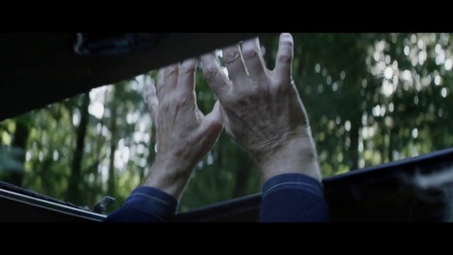 Video Reference: Hand, Tree, Finger, Arm, Leaf, Woody plant, Photography, Windshield, Fun, Window