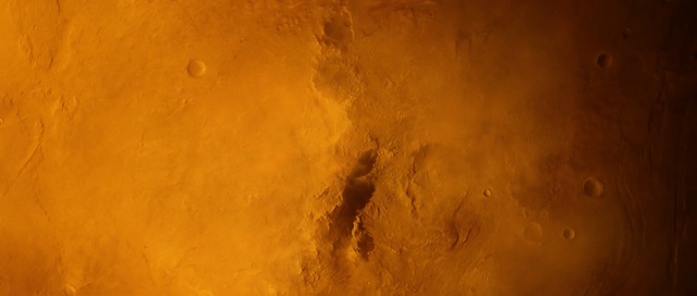 Video Reference: yellow, light, atmosphere, sky, wood, computer wallpaper, macro photography