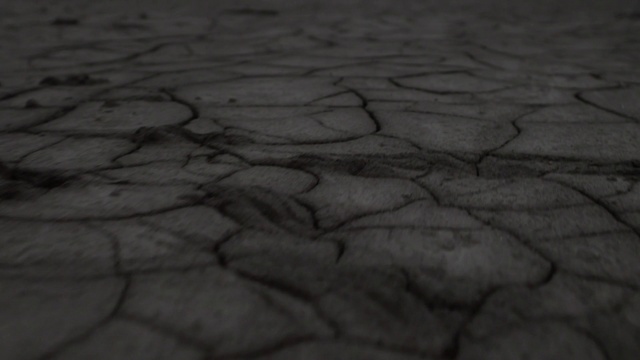 Video Reference: Black, Black-and-white, Monochrome photography, Road surface, Floor, Photography, Wood, Monochrome, Pattern, Stock photography