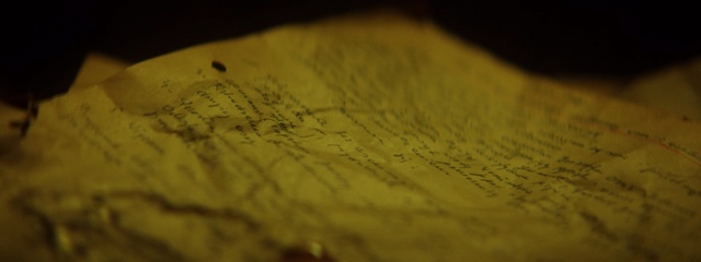 Video Reference: Yellow, Green, Wood, Close-up, Macro photography