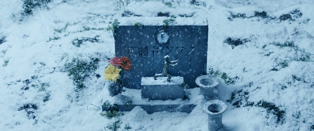 Video Reference: snow, winter, freezing, geological phenomenon, winter storm, ice, blizzard, tree, arctic, frost