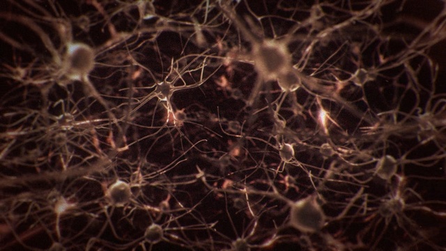 Video Reference: Light, Brown, Water, Organism, Close-up, Sky, Branch, Pattern, Stock photography, Darkness