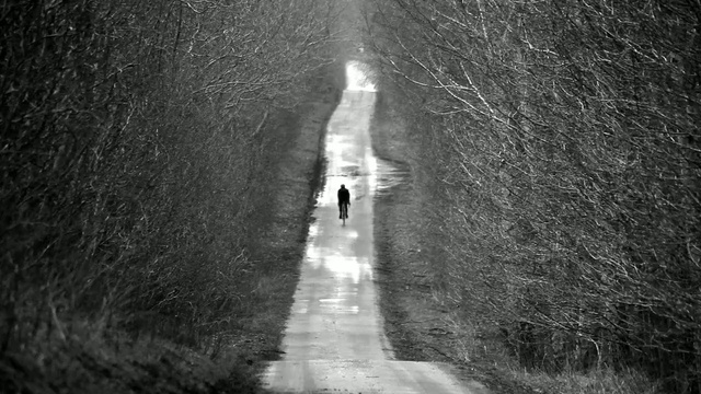 Video Reference: black, black and white, monochrome photography, infrastructure, tree, atmosphere, light, photography, monochrome, darkness, Person