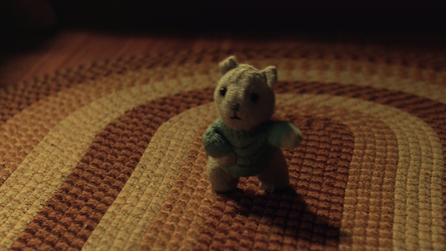 Video Reference: fauna, snout