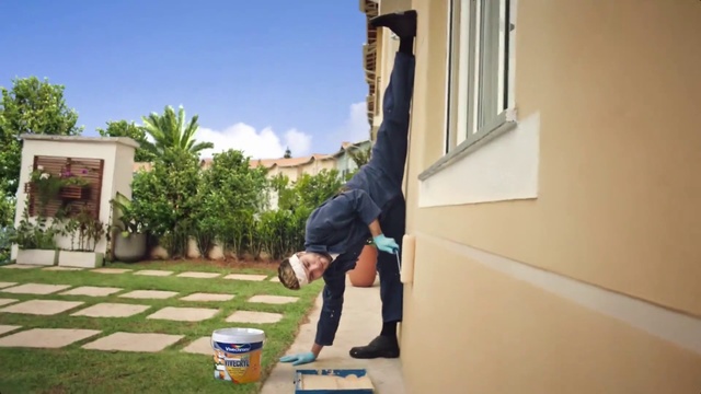 Video Reference: Fun, Tree, Plant, Leisure