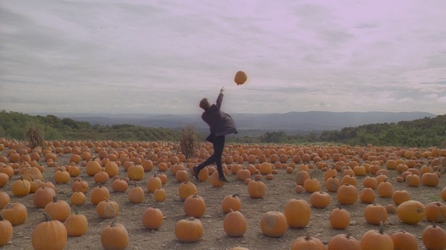 Video Reference: sky, vacation, field, landscape, recreation, fun, tree, Person