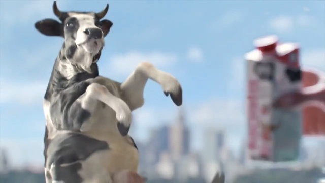 Video Reference: Snout, Statue, Art, Sculpture, Animation, Bovine