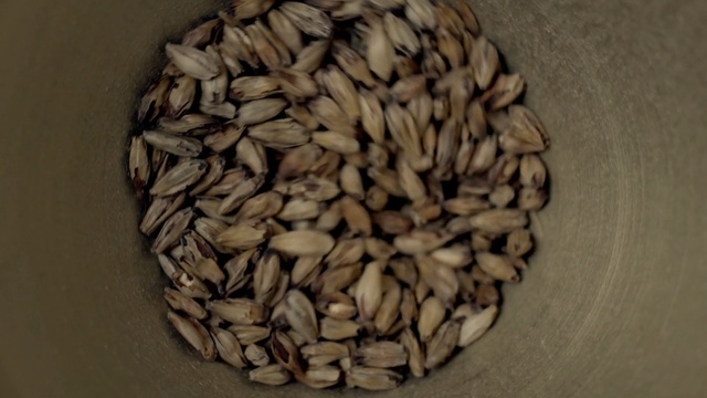 Video Reference: food grain, vegetarian food, commodity, cereal, ingredient, nut, nuts & seeds, seed, grass family