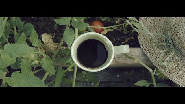 Video Reference: Green, Cup, Leaf, Coffee cup, Plant, Grass, Soil, Cup, Photography, Dandelion coffee