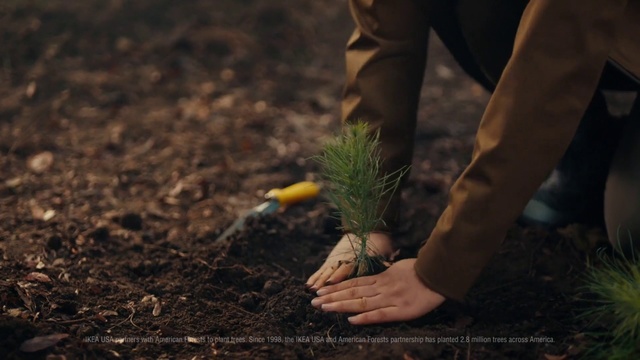Video Reference: Soil, Adaptation, Sowing, Plant, Hand, Gardener, Leg, Tree, Farmworker, Flower