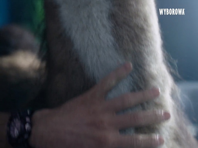 Video Reference: Hair, Skin, Finger, Hand, Fur, Neck, Nail, Close-up, Lip, Human, Person