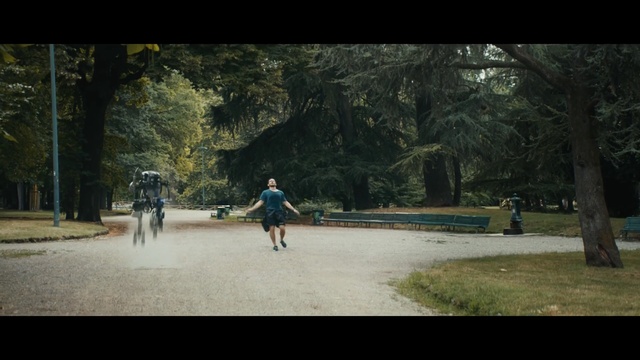 Video Reference: Nature, Tree, Snapshot, Recreation, Photography, Leisure, Woodland, Park, Walking, State park