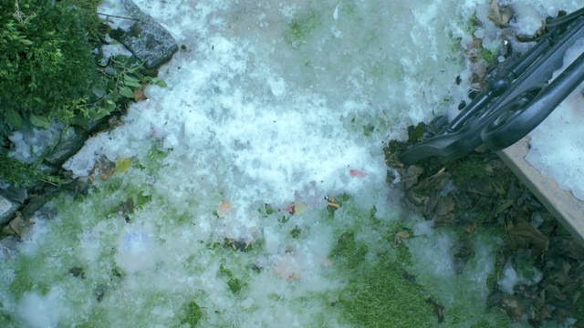 Video Reference: water, water resources, leaf, watercourse, tree, grass, water feature