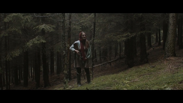 Video Reference: grandma, lost, forest, nature, tree, woodland, wilderness, woody plant, ecosystem, darkness, screenshot, path