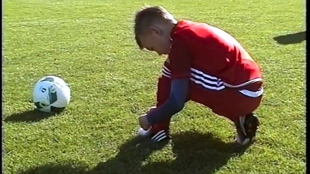 Video Reference: player, football player, ball, football, ball, grass, soccer player, play, plant, sports equipment