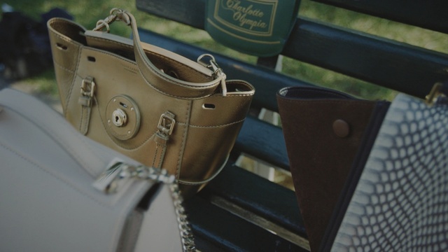 Video Reference: bag, Person