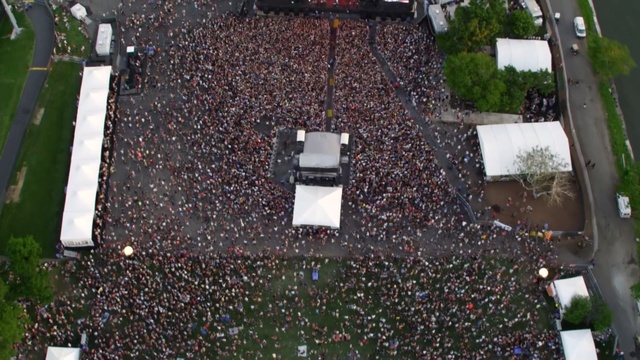 Video Reference: tree, crowd, grass, recreation