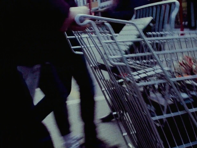 Video Reference: Cage, Shopping cart, Person