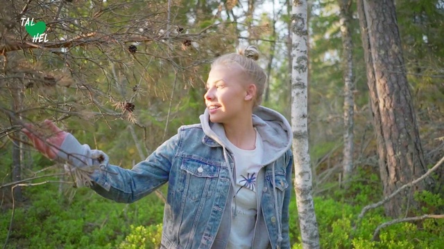 Video Reference: Nature, Natural environment, Wilderness, Forest, Tree, Woodland, Branch, Photography, Jungle, Jacket