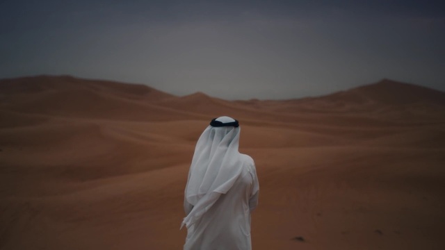 Video Reference: Desert, Natural environment, Sky, Aeolian landform, Sahara, Sand, Landscape, Erg, Ecoregion, Photography