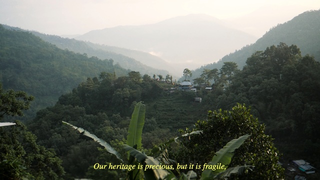 Video Reference: Highland, Hill station, Vegetation, Mountainous landforms, Nature, Mountain, Atmospheric phenomenon, Hill, Jungle, Tropical and subtropical coniferous forests