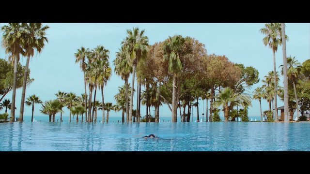 Video Reference: Nature, Tree, Vegetation, Water, Palm tree, Natural landscape, Arecales, Tropics, Woody plant, Plant, Person