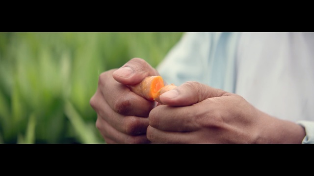 Video Reference: Hand, Finger, Orange, Thumb, Plant, Photography, Gesture, Nail, Fruit, Perennial plant