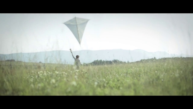 Video Reference: Grassland, Nature, Photograph, Natural environment, Meadow, Prairie, Steppe, Grass, Plain, Morning