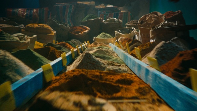 Video Reference: Organism, World, Aquarium