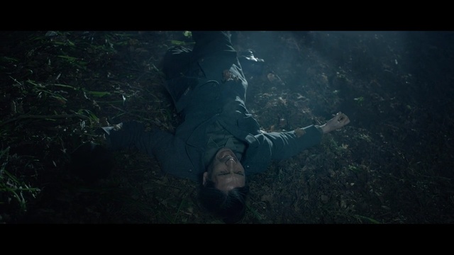 Video Reference: totem pole, column, cadaver, structure