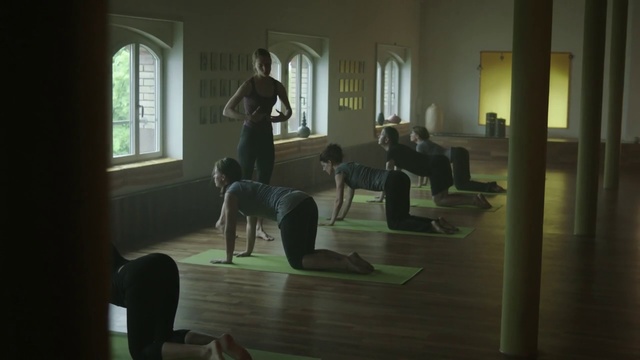 Video Reference: Physical fitness, Room, Yoga, Hardwood, Floor, Flooring, Pilates, Interior design, Non-Sporting Group, Guard dog