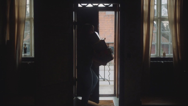 Video Reference: Light, Door, Window, Room, House, Architecture, Building, Glass, Home door, Interior design