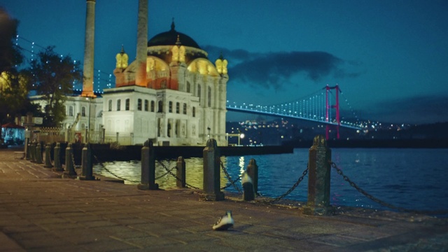 Video Reference: Water, Sky, Cloud, Building, Dusk, Lake, Street light, City, Waterway, Bridge