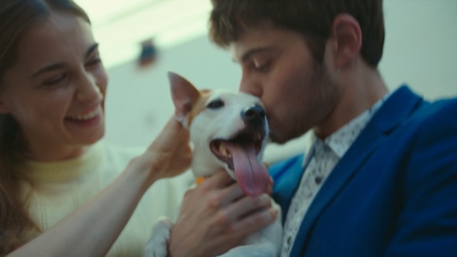 Video Reference: skin, dog, vertebrate, nose, dog breed, dog like mammal, dog breed group, ear, human, snout, Person