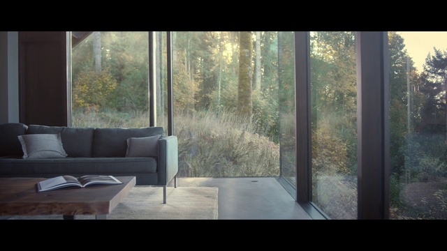 Video Reference: Nature, Natural environment, Tree, Sky, Light, Sunlight, Forest, Property, Atmospheric phenomenon, Morning