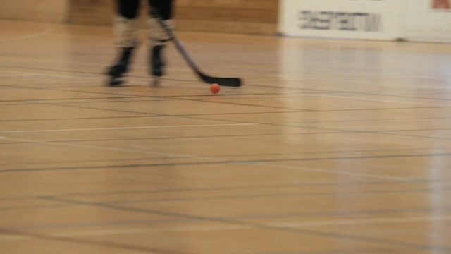 Video Reference: floor, flooring, hardwood, wood, sport venue, wood flooring, sports, line, indoor games and sports, recreation