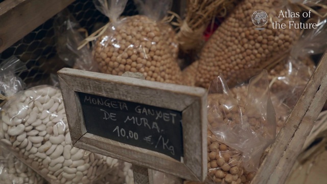 Video Reference: Plant, Food