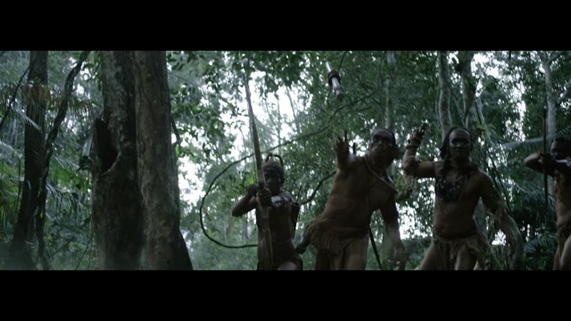 Video Reference: orangutan, tree, ape, forest, Person