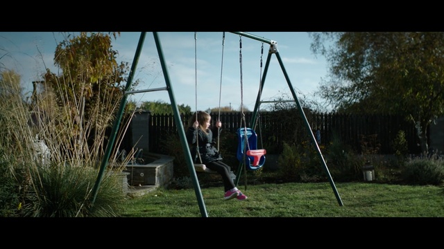 Video Reference: nature, swing, outdoor play equipment, tree, sky, grass, plant, sunlight, recreation, leisure