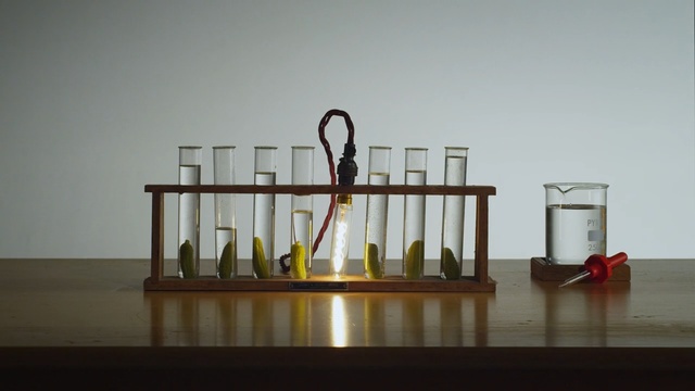 Video Reference: water