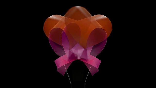 Video Reference: pink, flower, purple, petal, computer wallpaper, organ, macro photography, graphics, darkness, still life photography