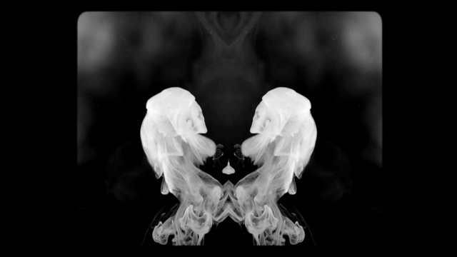 Video Reference: White, Black, Photograph, Monochrome photography, Black-and-white, Still life photography, Monochrome, Photography, Joint, Organism