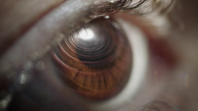Video Reference: Eye, Eyelash, Close-up, Iris, Skin, Organ, Eyebrow, Macro photography, Brown, Photography