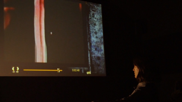 Video Reference: darkness, light, night, lighting, stage, sound, event, midnight, audio, performance, Person