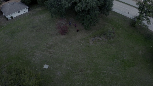 Video Reference: Lawn, Yard, Grass, Land lot, Backyard, Green, Property, Asphalt, Garden, Walkway