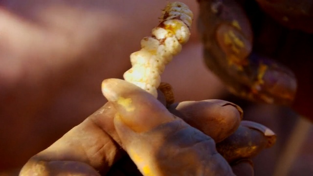 Video Reference: Hand, Finger, Food