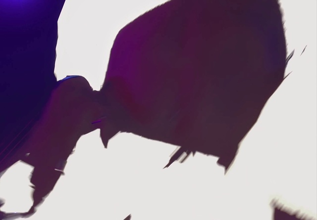 Video Reference: Purple, Plant, Animation, Illustration, Fictional character, Black hair
