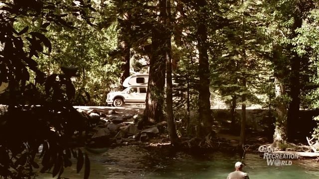 Video Reference: water, nature, reflection, waterway, body of water, tree, plant, bayou, woodland, forest