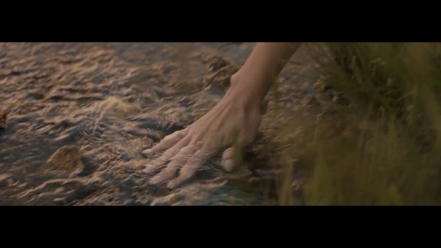 Video Reference: Nature, Leg, Tree, Sky, Atmosphere, Wildlife, Photography, Organism, Sunlight, Soil